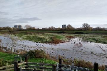 Upcoming habitat management work on the reserve in August